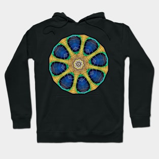 Peacock feather kaleidoscope Hoodie